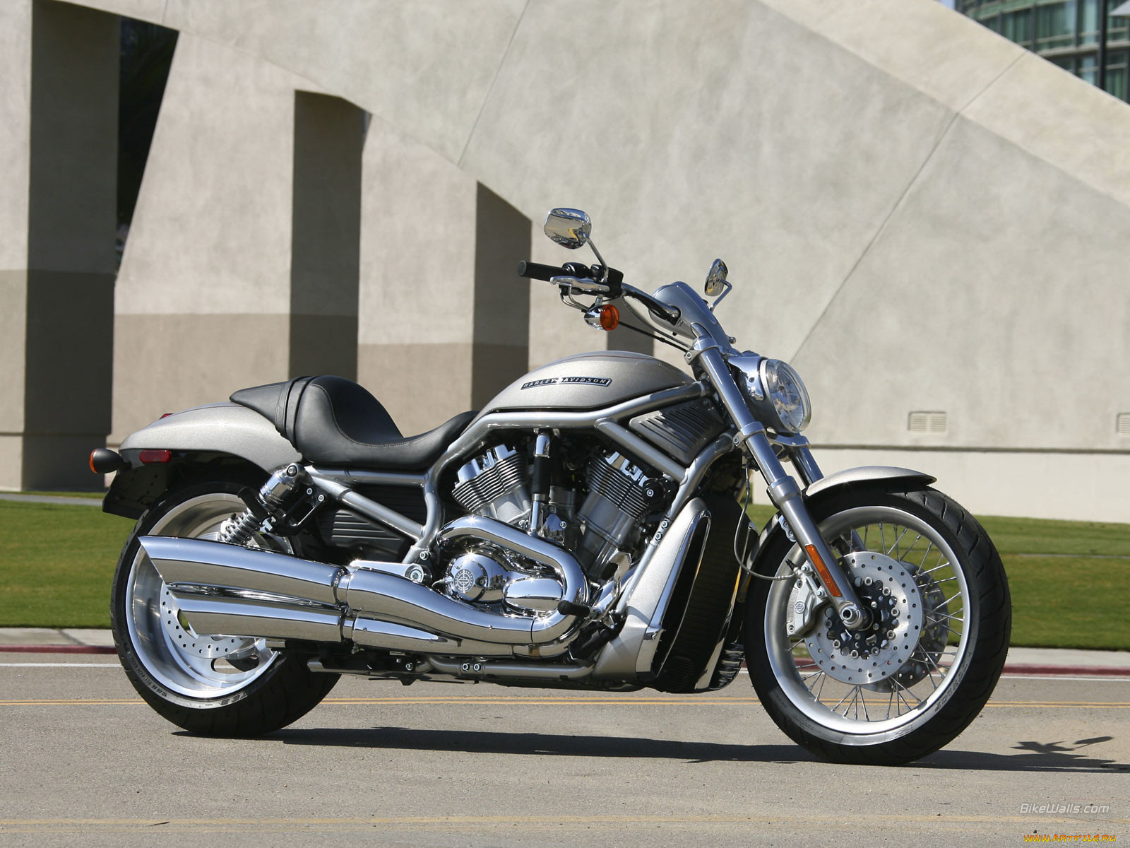 harley, davidson, vrscaw, rod, 2008, 